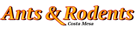 Costa Mesa Ant Exterminator & Rodent Control Company Logo